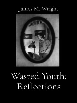 cover image of Wasted Youth